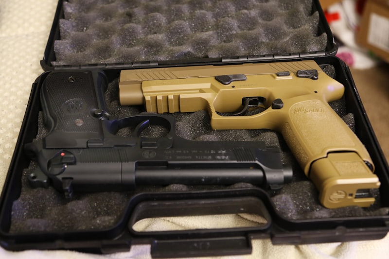 Two handguns in a protective case