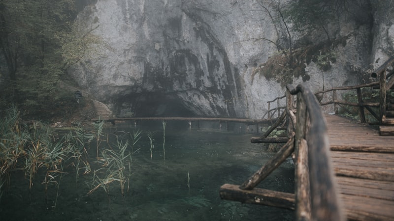 a wooden bridge over a river