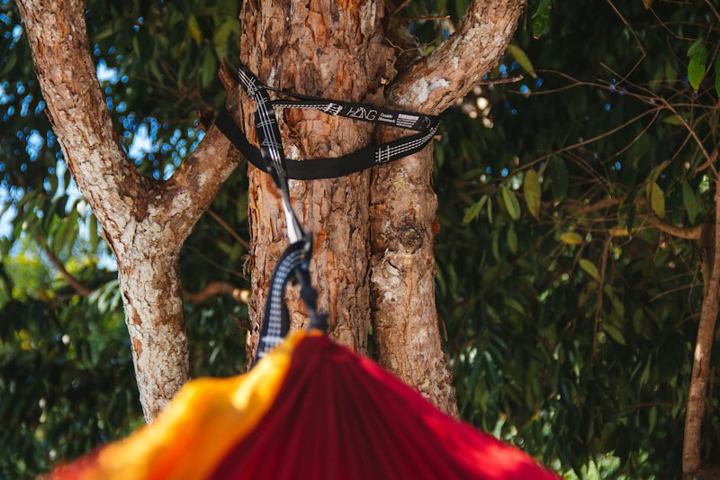 a red and yellow umbrella hanging from a tree