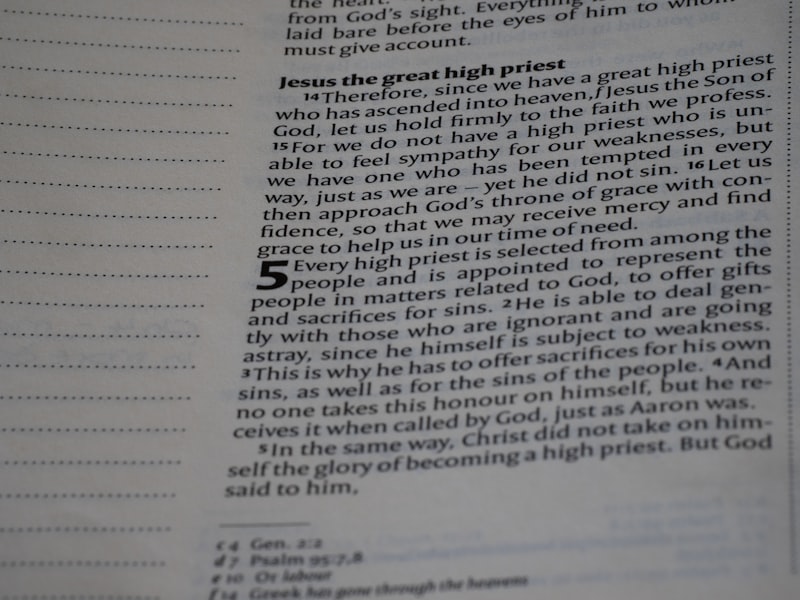 The passage discusses jesus as the great high priest.