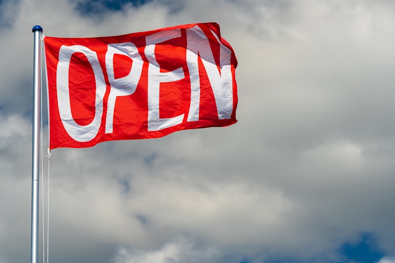 red and white flag under cloudy sky