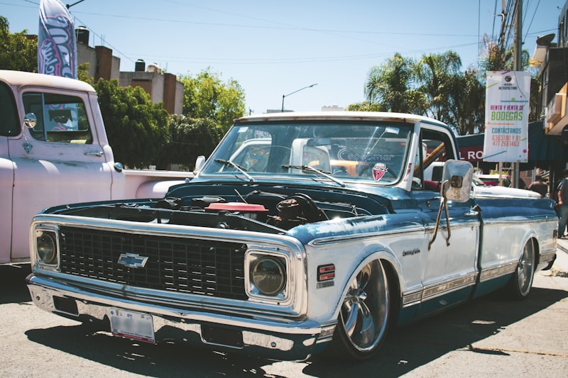 shallow focus photo of gray Chevrolet single-cab truck