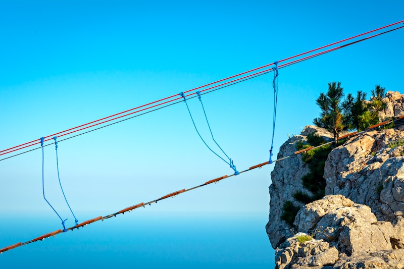 brown hanging bridge