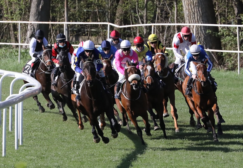people riding horses on green grass field during daytime