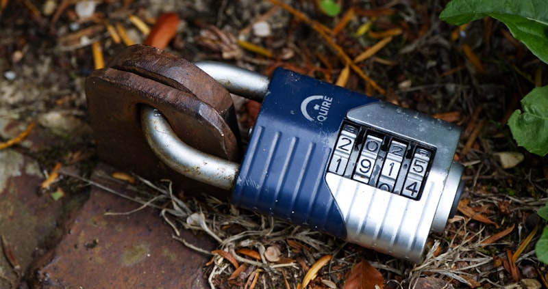A combination lock sits amongst organic debris.