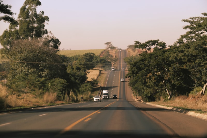 A road stretches between trees and a sunny horizon.