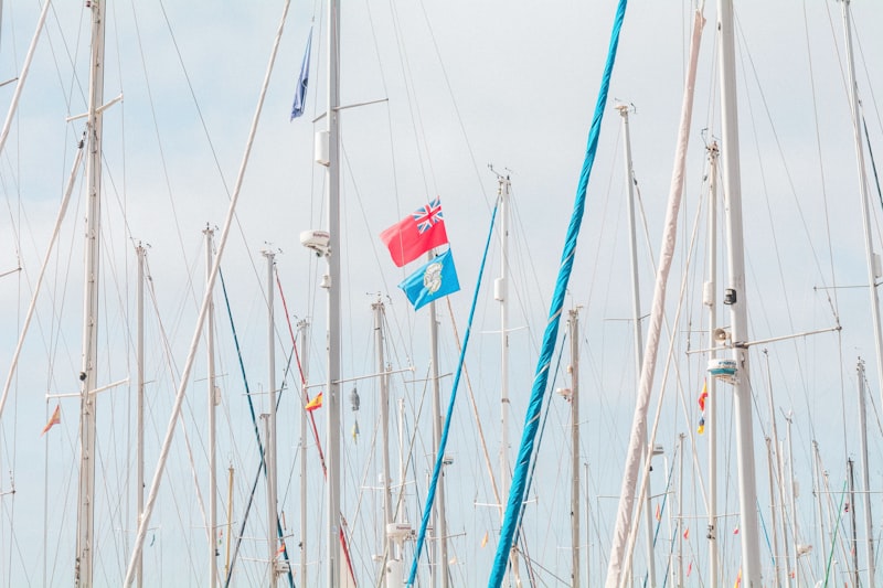 waving red and blue cross flag