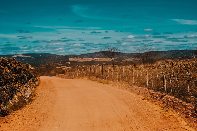 A dirt road leads through a dry, rural landscape.